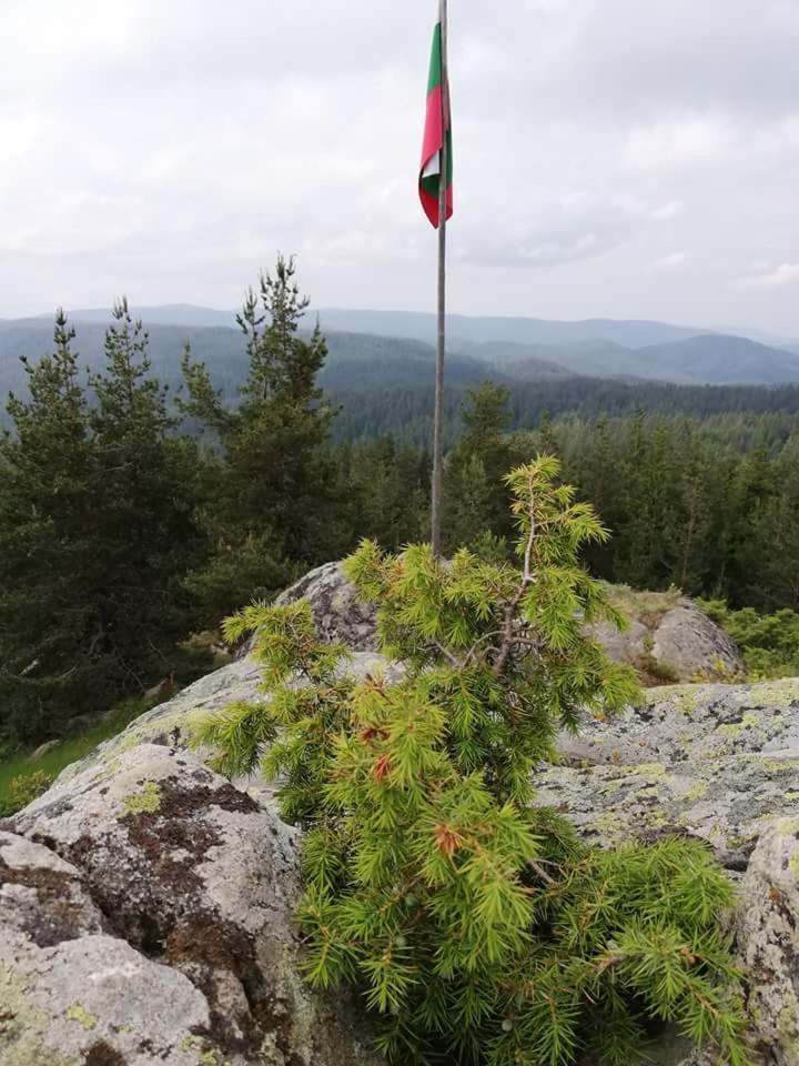 Complex Pele Otel Zmeitsa Dış mekan fotoğraf