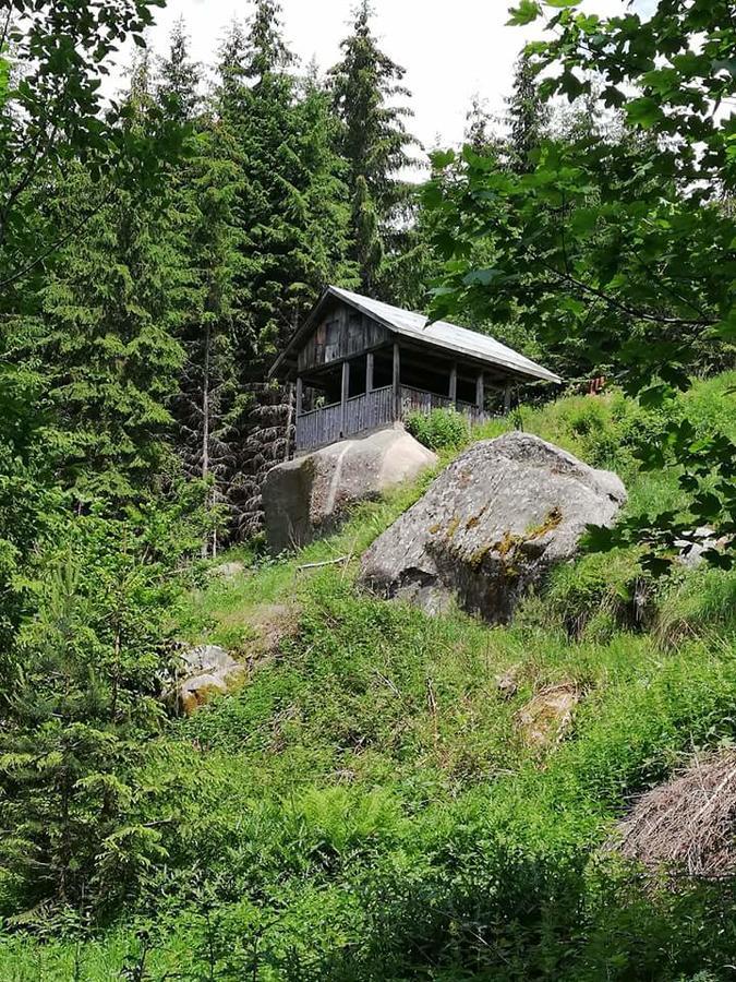 Complex Pele Otel Zmeitsa Dış mekan fotoğraf